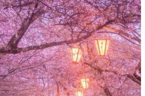 718娱乐吃瓜在线下载,揭秘热门娱乐资讯新途径